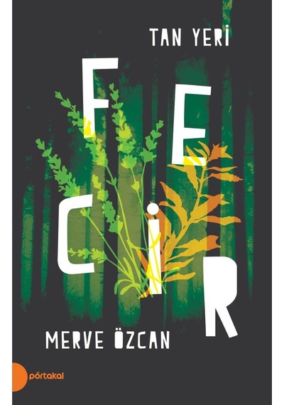 Tan Yeri Iı - Fecir (513427993)