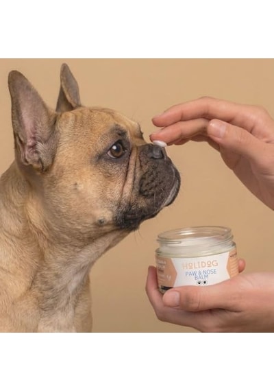 %100 Doğal Köpek Pati Ve Burun Balmı Lavanta Kokulu Yoğun Nem & Onarıcı Bakım Bakanlık Onaylı