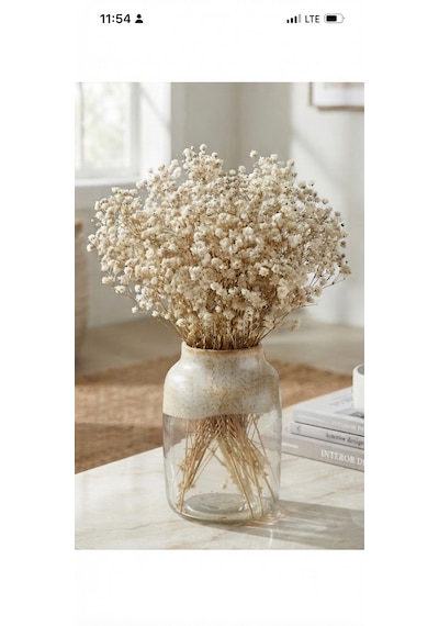 Şoklanmış Kurutulmuş Cipso Çiçeği 1 Demet 50-60gr - 35-45cm Naturel