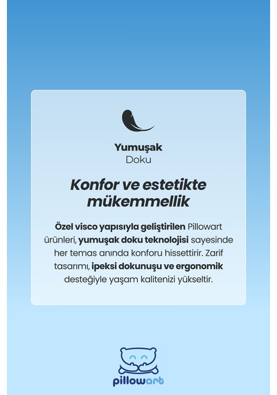 Ortopedik Ofis Koltuğu Bel & Boyun Destek Minderi Siyah
