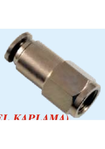 Npcft04-m8 1.0 Dişi Düz Rekor 10 Adet Paket