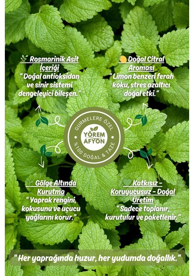 Yörem Afyon Meşhur Muğla Yeni Mahsul Güneşte Kurutulmuş Yaprak Limonlu Melisa Arı Otu 30gr.