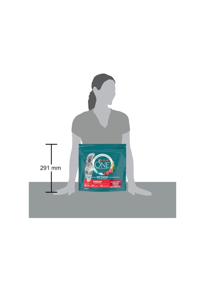 Sterilcat Sığır Etli Kısırlaştırılmış Kuru Kedi Maması 1.4 Kg
