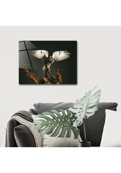 Decorita Hayvanlar | Cam Tablo | Baykuş - Kanatları Açık
