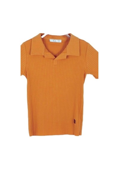 Nk Kids Çocuk Polo Yaka Fitilli T-shirt-14004-tarçın Tarçın