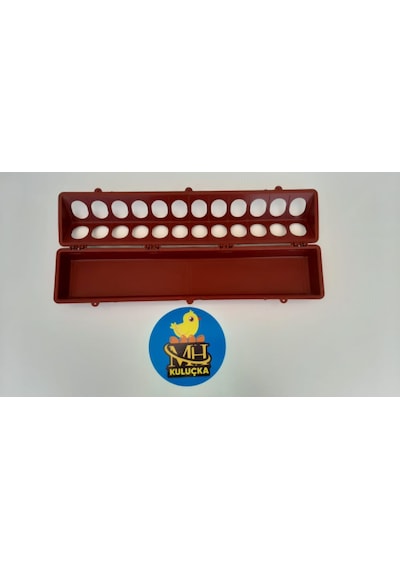 Civciv Bıldırcın Keklik Yemlik 50cm 2adet