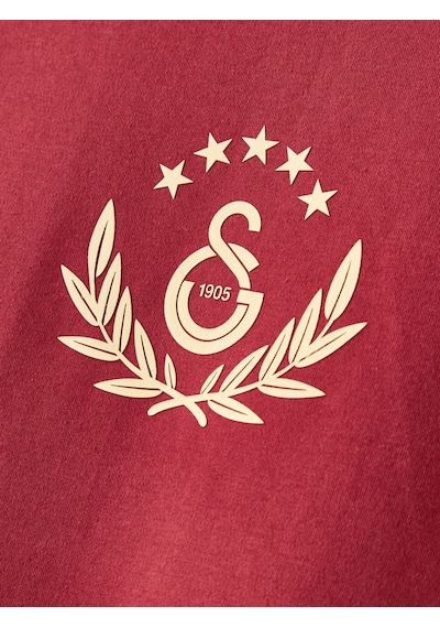 Gsstore Galatasaray Erkek T-shirt E252138 Bordo