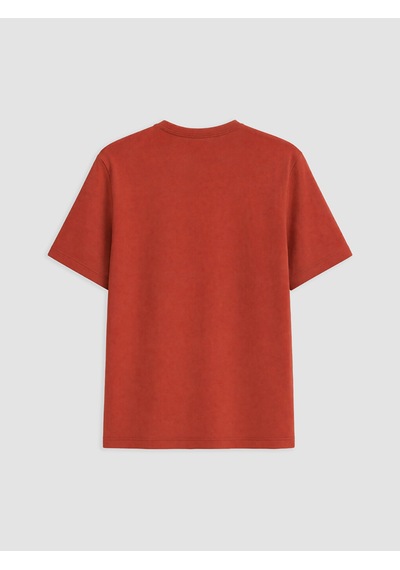Lcwaıkıkı Classic Turuncu %100 Pamuk Regular Fit Basic Tişört