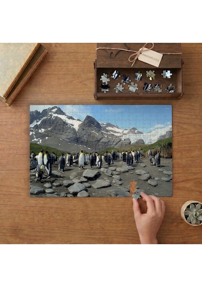 Penguen Sürüsü Tasarımı 240 Parça Ahşap Puzzle Ahşap Kutuda Mpy50396