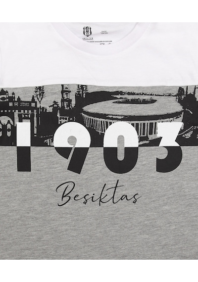 Galatasaray Beşiktaş Çocuk T-shirt Beyaz - Gri