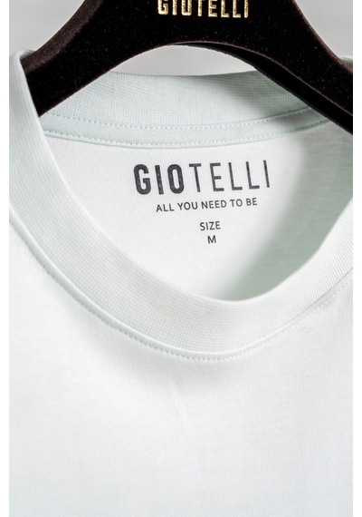 Giotelli Erkek Mint Normal Kesim Regular Fit Dokuma Bisiklet Yaka Tişört