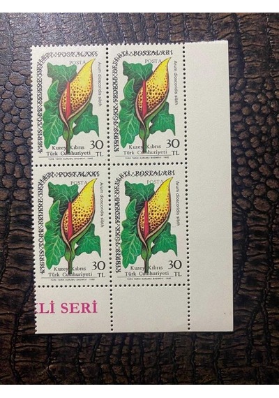 Kktc - Kuzey Kıbrıs Türk Cumhuriyeti Kuzey Kıbrıs 201 - Okucu "arum Discoridis" Northern Cyprus 201 - Arrowhead Alpine "arum Discoridis" Damgasız Mnh 4'lü Blok Pullar