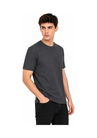 Raymons Erkek Sıfıryaka Triko Tişört Regular Kalıp Bgl-st05566 Füme