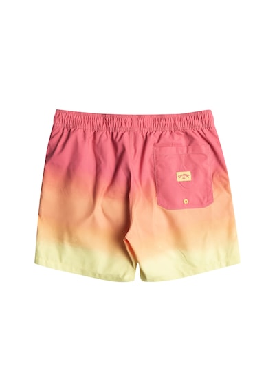Bıllabong Billabong All Day Fade Lb Erkek Volley 27240 Çok Renkli