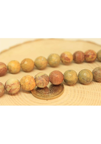 Yasam Tohumu Jasper Taşı Yarım Dizi 11 - 12 MM Aralığı 25900 18 CM Çok Renkli