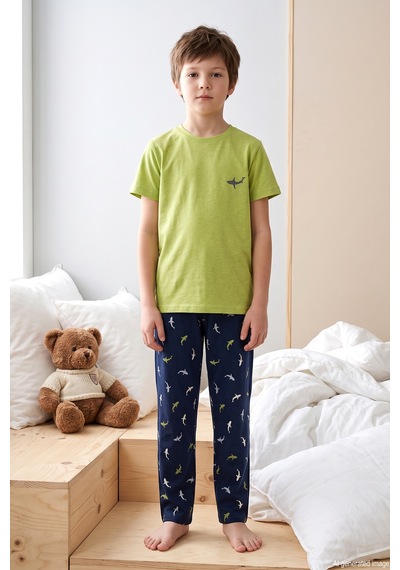 Aydoğan Desenli Erkek Çocuk Süprem Pamuklu Pijama Takımı 260382 Fıstık Yeşil Fıstık Yeşili Aydoğan Desenli Erkek Çocuk Süprem Pamuklu Pijama Takımı 260382 Fıstık Yeşil Fıstık Yeşili