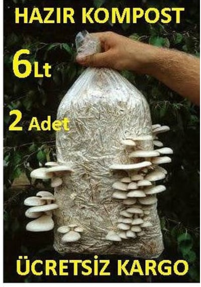 2 Adet 6 L 3 KG İstiridye Mantarı Kompostu