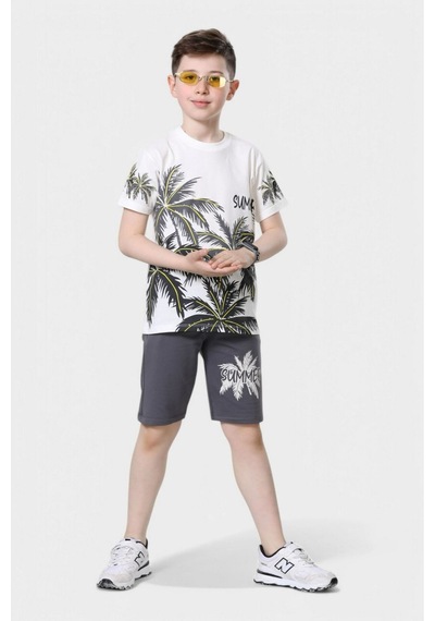 Veramoni Yazlık Çocuk Sümmer&tropical Baskılı Kısa Kollu Bisiklet Yaka T-shirt Şort Alt Üst Takım Antrasit