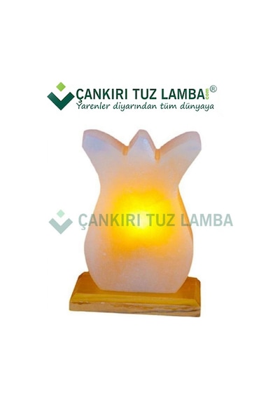 Çankırı Tuz Lamba'dan Doğal Lale Kaya Tuz Lambası
