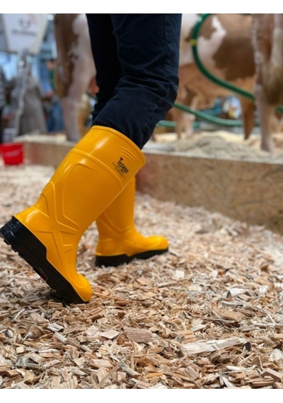 Techno Boots Poliüretan Soğuğa Dayanıklı Kısa Çelik Burunlu Sarı Çizme Sarı