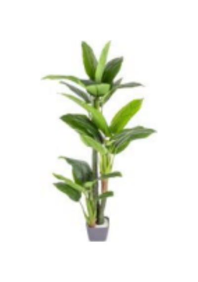 Yapay Ağaç Difenbahya Gerçek Dokulu 47 Yaprak 180 Cm. Çok Renkli