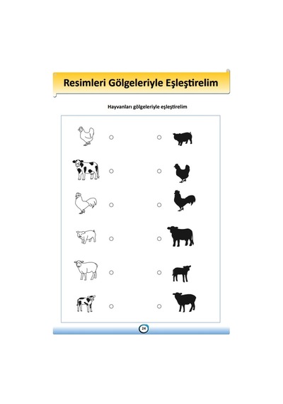 Okul Öncesi Matematik ve Zekâ Yaz-Sil Kitabı