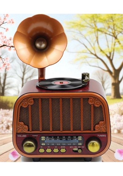 Dexxony Md-1318 Ahşap Tasarım Nostaljik Radyo - Gramofon Dekorlu Şarjlı Bluetooth Hoparlör  Seti