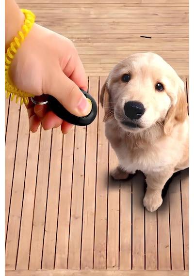 Mobee Köpek Eğitim Clicker Tasma Tuvalet Eğitimi İçin Kullanılabilir Köpek Eğitim Aparatı