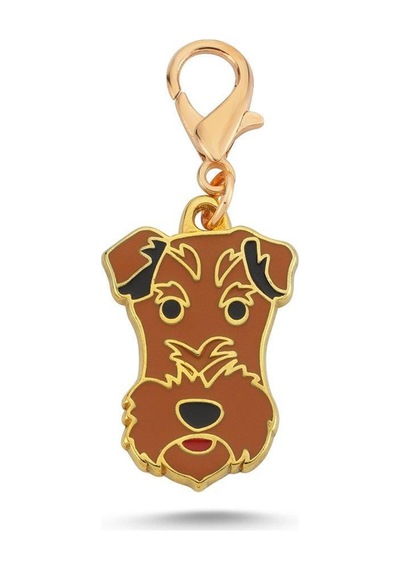 Fox Terrier Altın Kaplama Mineli Tasma Aksesuarı Renkli