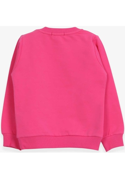 Breeze Kız Çocuk Sweatshirt Baskılı Pullu Unicorn Pembe (2-6 Yaş) (550006098) Çok Renkli