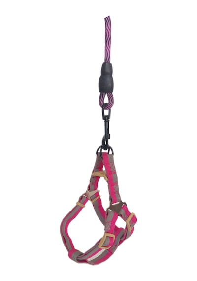 Köpek Göğüs Tasma Seti Dalga Desenli 2 Cm 40-58 Cm Mor-pembe Pembe