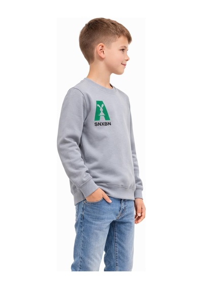Baglan Erkek Çocuk Önü Baskılı Sweatshirt Bgl-st05234 Gri