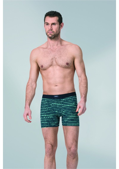 Erkek Boxer Desen