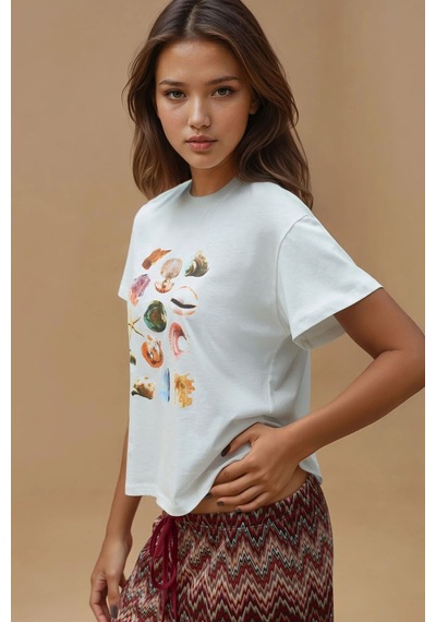 Hiccup Baskı Detaylı Regular Fit Bisiklet Yakalı %100 Pamuklu T-shirt Çok Renkli 02