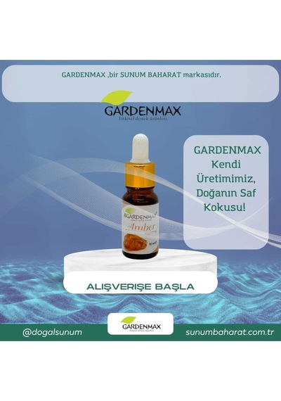 Buhurdanlık Esansı Amber