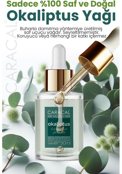 Caracal Doğal Okaliptus Yağı Saf Okaliptus Uçucu Yağı 30 Ml Okaliptüs Yağı