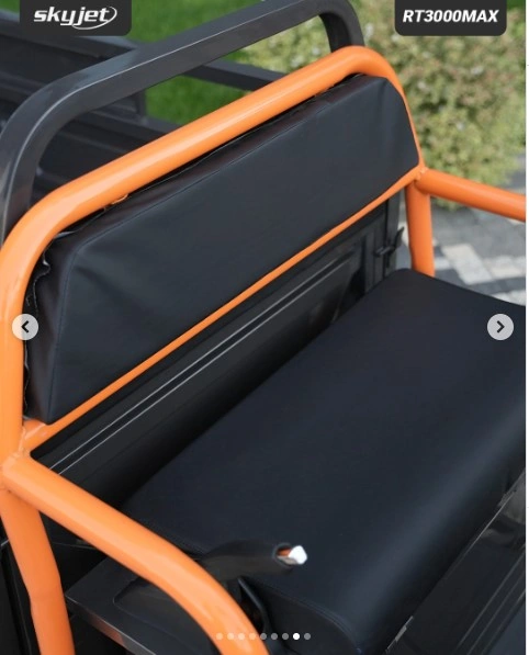 Skyjet RT3000 Max Elektrikli Moped Gri
