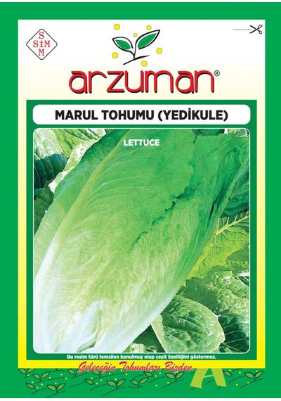 Yedikule Marul Tohumu 10 GR Göbekli Marul N113478