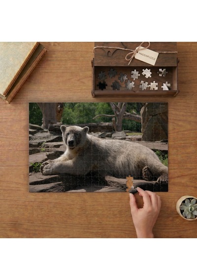 Dinlenen Kutup Ayısı Tasarımı 240 Parça Ahşap Puzzle Ahşap Kutuda Mpy40160