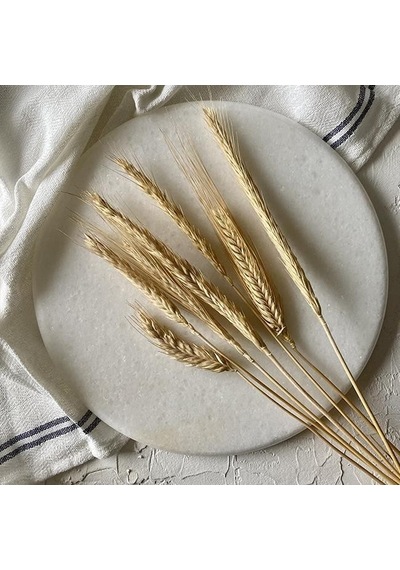 Akayev Mermer 25 Cm Beyaz Yuvarlak Sunum Tabağı Çok Renkli