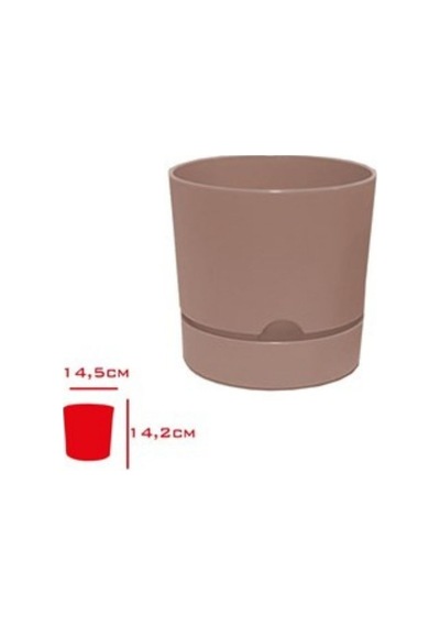 Polıwork Saksı Begonya 15 Cm Krem