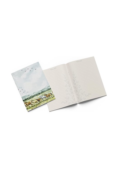 Hazan - 3'lü Defter Seti, 14x21cm, A5, Çizgili Çok Renkli