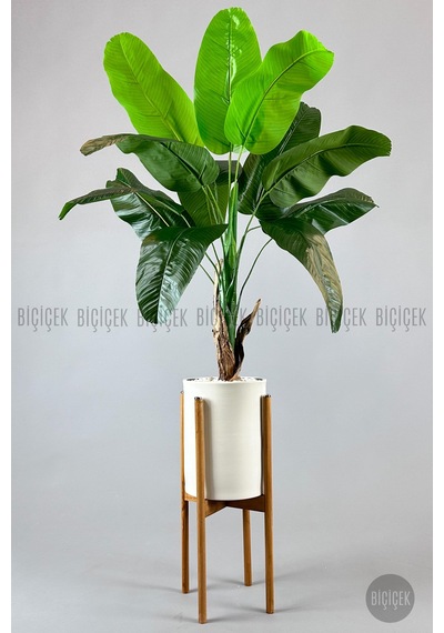 Yapay Muz Ağaci 125 Cm Ayakli Krem Metal Saksıda