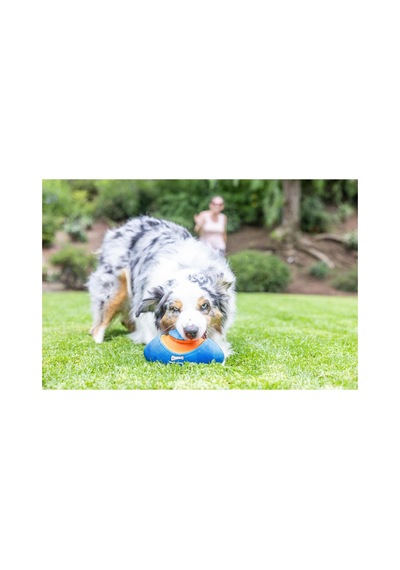 Giggle Fumble Fetch Sesli Köpek Oyun Topu