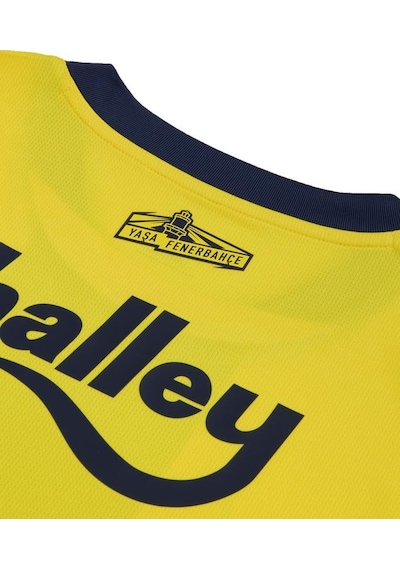 Puma Fenerbahçe İç Saha Forması 775360-01 Çubuklu Erkek Forma Çok Renkli