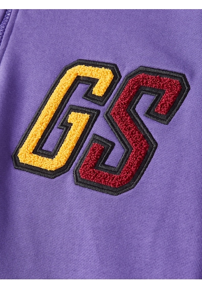 Gsstore Galatasaray Erkek Yarım Zip Hoodie E252107 Mor