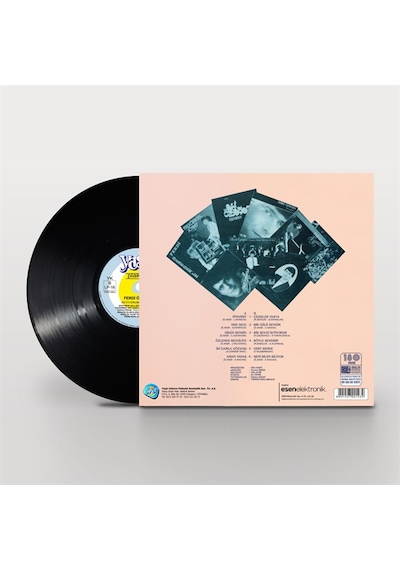 Plak - Ferdi Özbeğen - Piyanist