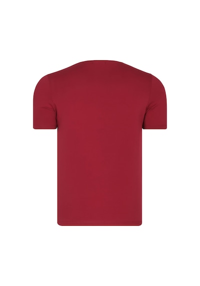 T8569 Dewberry Bisiklet Yaka Erkek T-shırt-düz Bordo