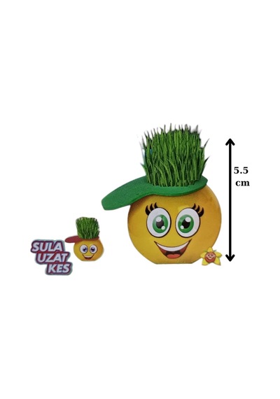 Emoji Çim Adam Yapım Seti-okul Eğitici Deney Seti