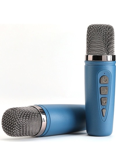 Tg Tg542dk Usb/sd/fm/bluetooth Destekli Taşınabilir 2 El Mikrofon
